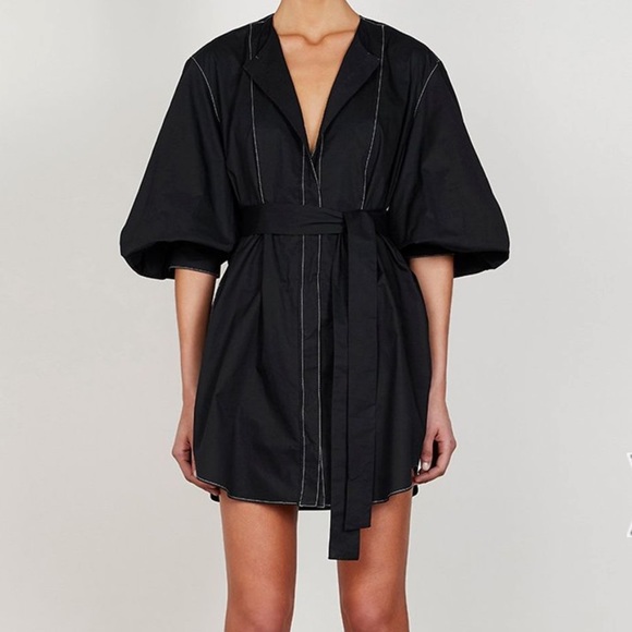 Shona Joy Dresses & Skirts - Shona Joy Balloon Sleeve Dress